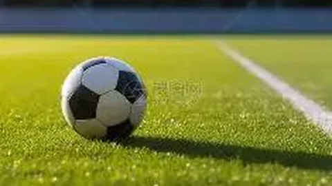 【彩运亨通】第2025138期双色球号码揭晓在即，独家解析12红球+2蓝球预测，惊喜与您共享！