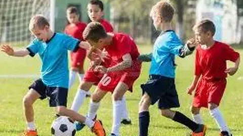 [彩运亨通]第2026017期双色球秘籍揭晓：蓝球五强推荐，跟我走，大奖在望！