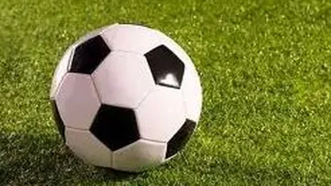 【双色球风云】马年独门秘籍：26016期凤尾精选，凤舞九天之选号攻略——23、29必中秘码！