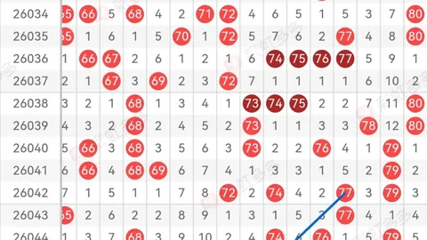 大乐透2026026期欧阳宵专家质合分析推荐杀号